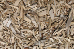 biomass boilers Hall I Th Wood